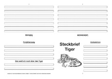 Tiger-Faltbuch-vierseitig-5.pdf